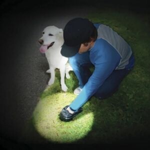 LED Headlamp Hat Pink Hands Free Cap Night Running Dog Adjustable Hiking NWT